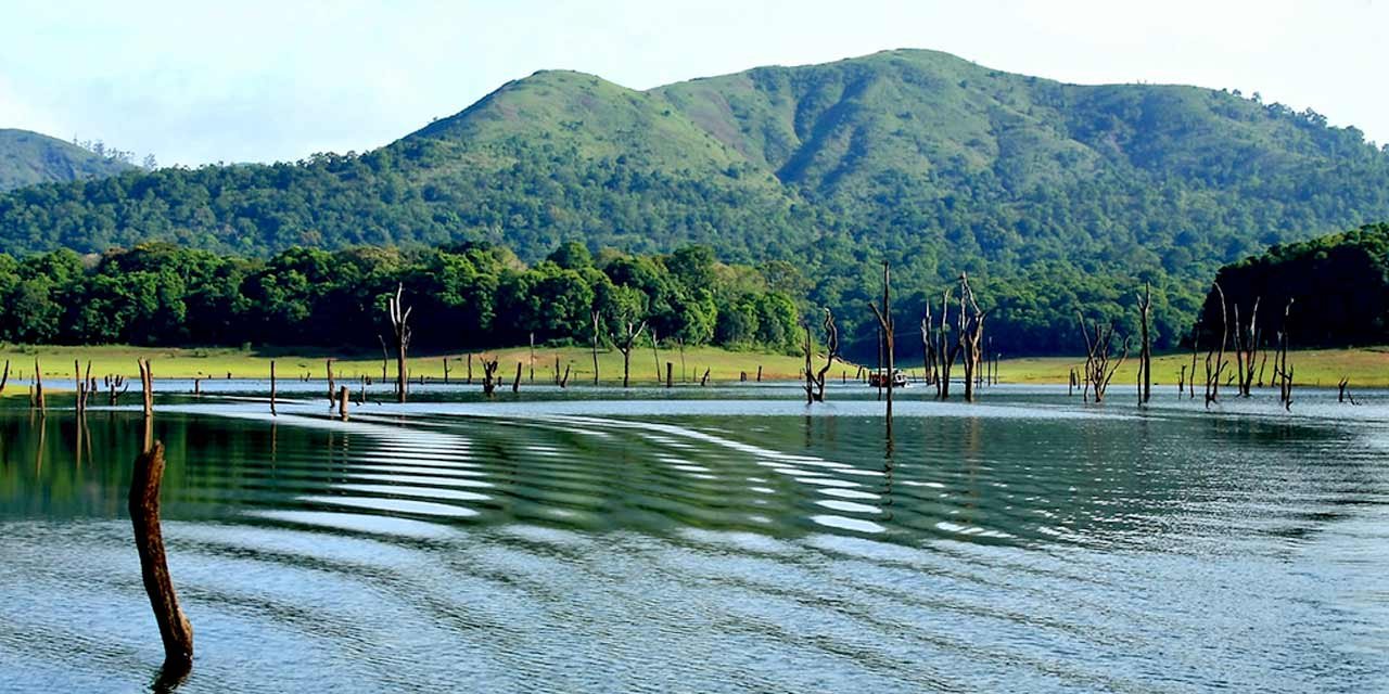 Thekkady Periyar wildlife guide boat ride elephant